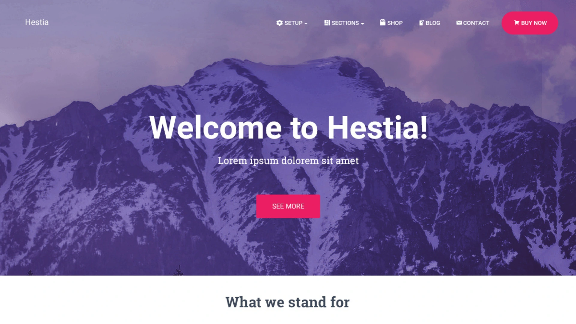 best wordpress themes for ecommerce - Hestia
