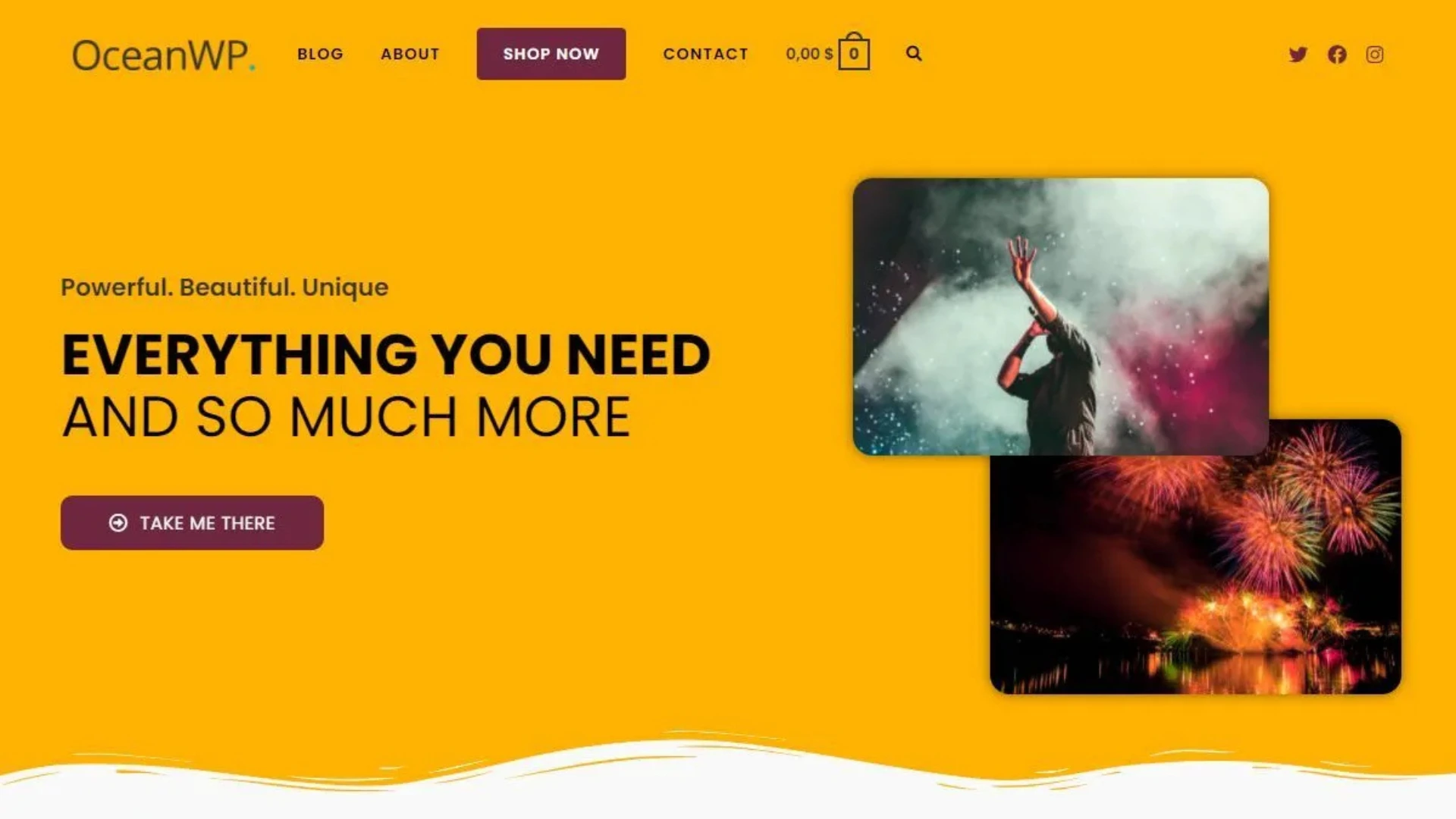 best wordpress themes for ecommerce - OceanWP