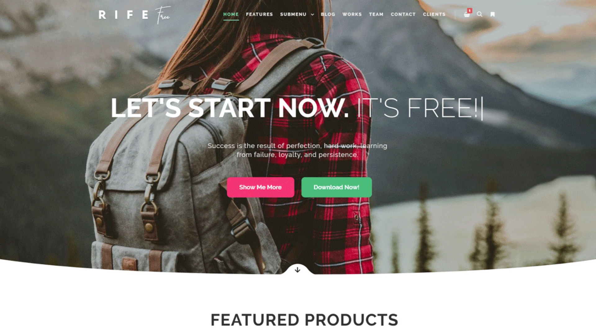 best wordpress themes for ecommerce - Rife