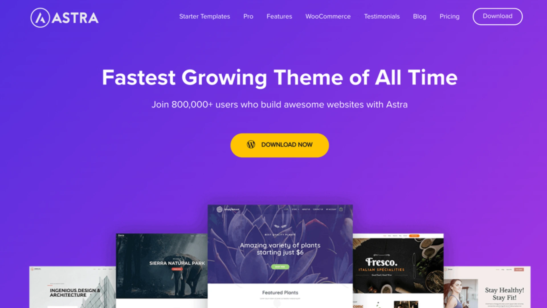 best wordpress themes for ecommerce